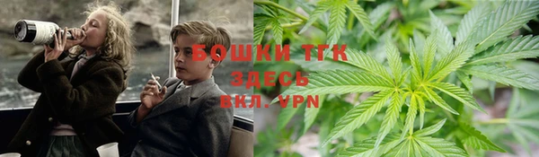 прущие крисы Верея