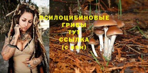 хмурый Верхний Тагил