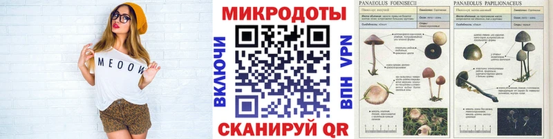Купить где  Полтавская  Галлюциногенные грибы мухоморы 