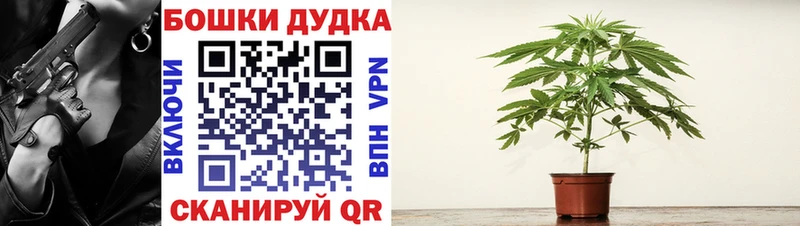 Купить где  Полтавская  Бошки марихуана сатива 